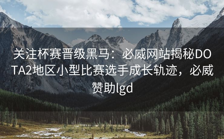 关注杯赛晋级黑马：必威网站揭秘DOTA2地区小型比赛选手成长轨迹，必威赞助lgd  第2张