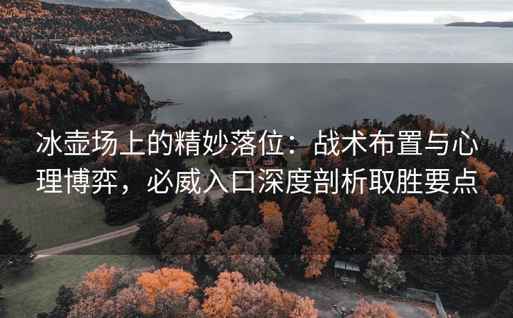 冰壶场上的精妙落位：战术布置与心理博弈，必威入口深度剖析取胜要点  第2张